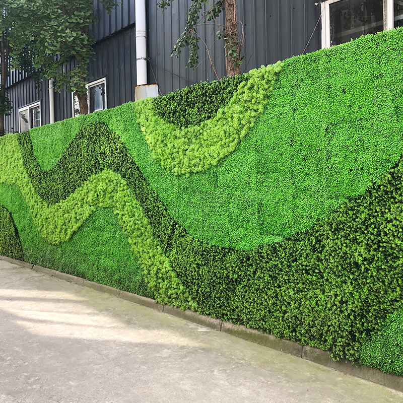 437��Ӯ��Ա���ġ�(�й�)�ٷ���վ